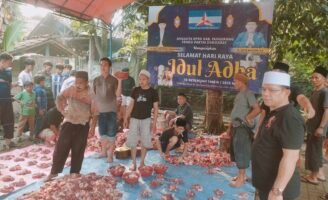 Qurban kan 3 Ekor Sapi Seberat 1.5 Ton, Yaya : ” Saya Distribusikan Untuk 800 Penerima “,